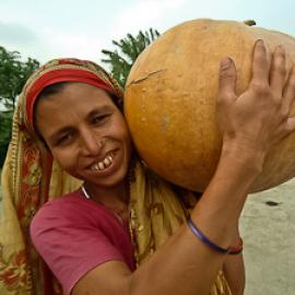 The Global Impact of Climate Change